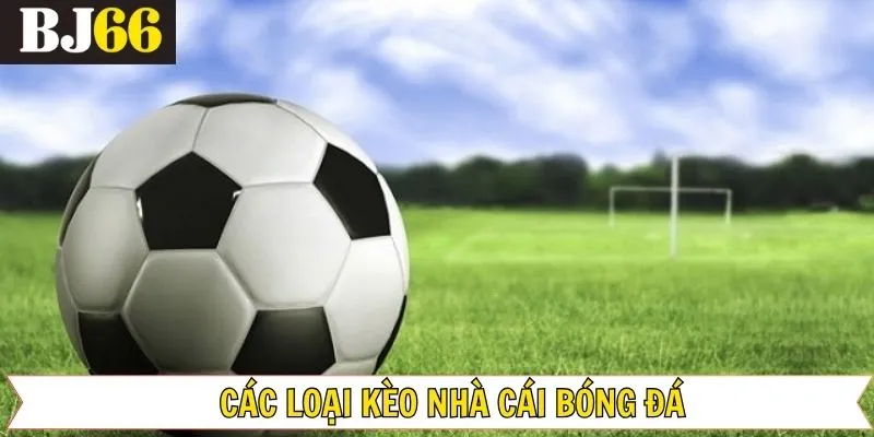 Hướng dẫn chi tiết cách chơi kèo nhà cái bóng đá 