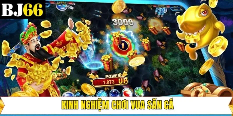Những mẹo tham gia săn cá hiệu quả nên nắm 