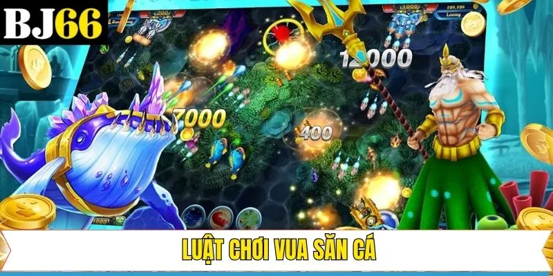 Luật tham gia game vua săn cá Bj66 nên nắm 